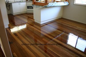 hardwood gloss floor